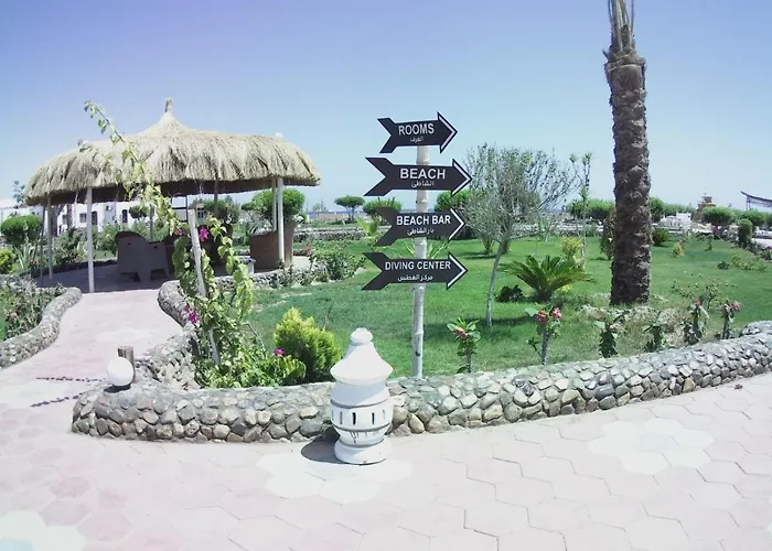 Hotel Dolphin Continental 3*
