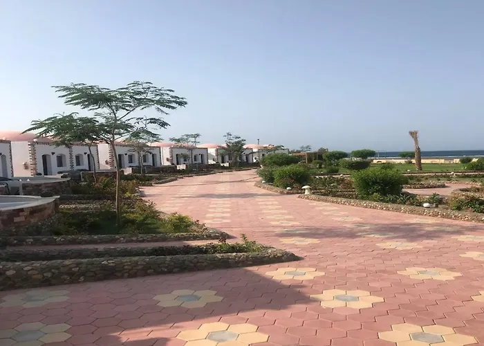 Dolphin Continental Hotel 3*