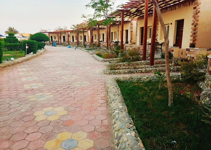 Hotel Dolphin Continental 3*