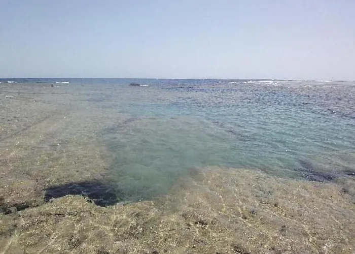 Dolphin Continental Hotel 3*