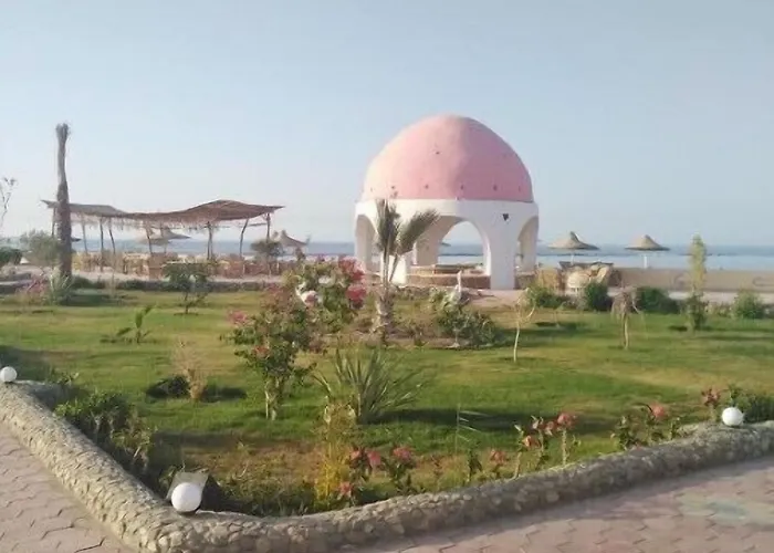 Hotel Dolphin Continental 3*